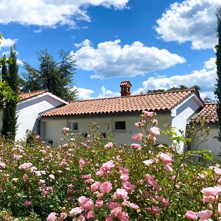 Calma Bungalows Πορτορόζ Εξωτερικό φωτογραφία
