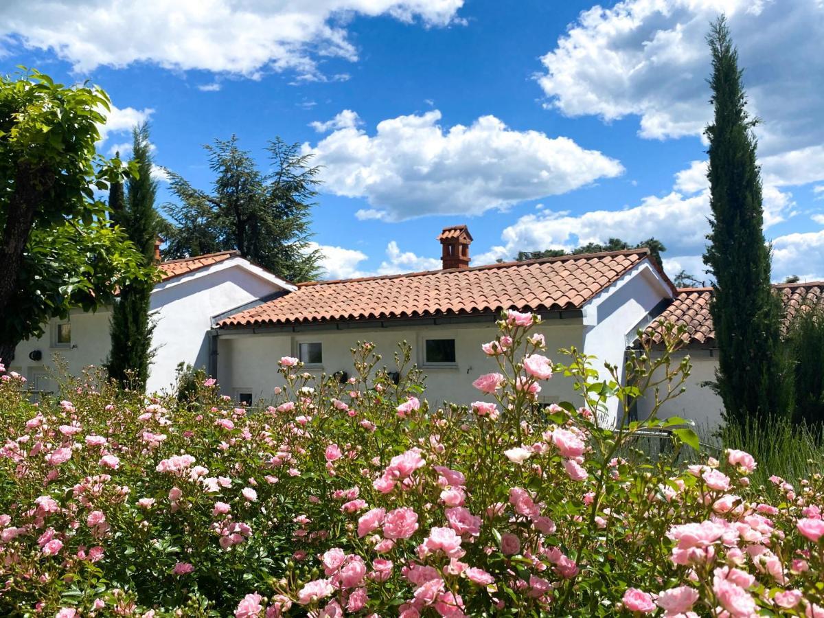 Calma Bungalows Πορτορόζ Εξωτερικό φωτογραφία