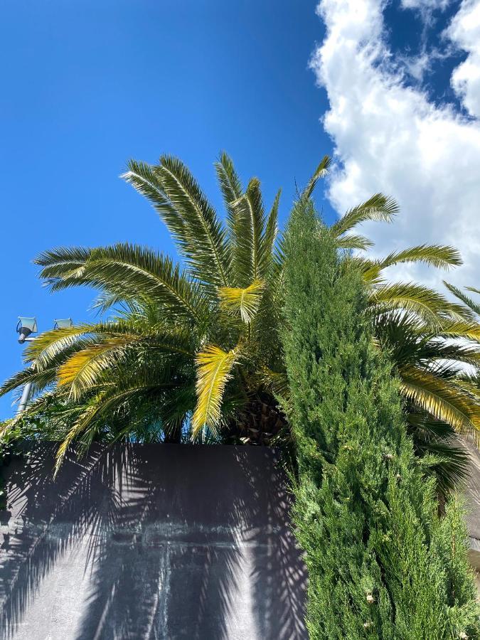 Calma Bungalows Πορτορόζ Εξωτερικό φωτογραφία