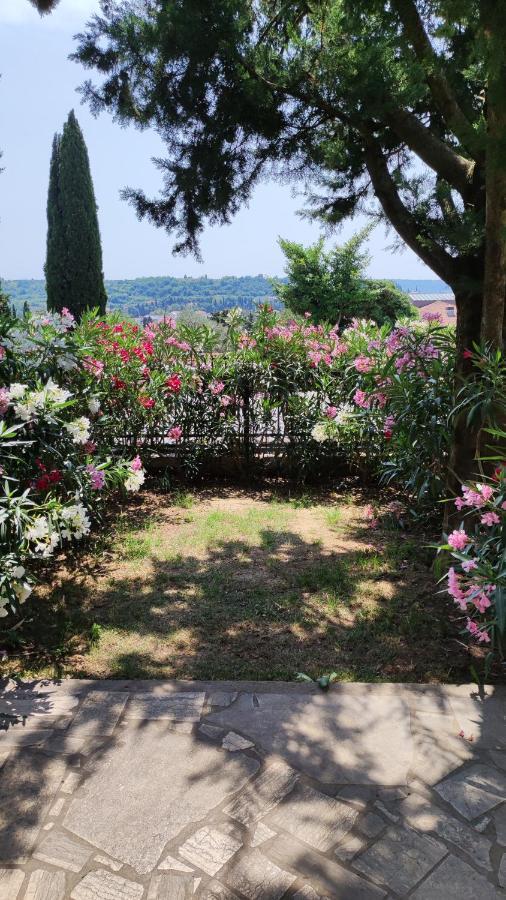 Calma Bungalows Πορτορόζ Εξωτερικό φωτογραφία